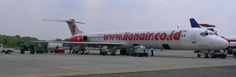Indonesian airline Lion Air sentenced for discrimination against disabled travellers