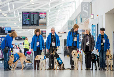 Edinburgh airport guide dogs training day